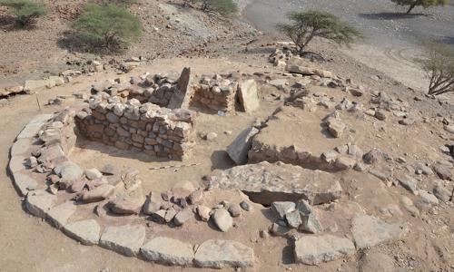 Bronze Age Artifacts Discovered in Saham