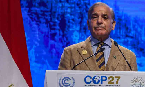 പ​ര​മ്പ​രാ​ഗ​ത ഊ​ർ​ജ​ത്തി​നെ​തി​രെ ഒ​ന്നി​ക്ക​ണ​മെ​ന്ന് ആ​വ​ശ്യം