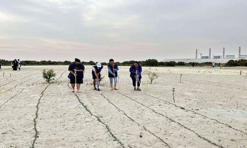 ഒരു മണിക്കൂറിൽ നട്ടത് 5000 കണ്ടൽച്ചെടികൾ