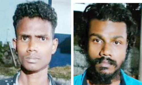 35 കി​ലോ ച​ന്ദ​ന​വു​മാ​യി ര​ണ്ടു യു​വാ​ക്ക​ൾ പി​ടി​യി​ൽ