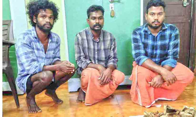 ചന്ദനം മുറിച്ചുകടത്തൽ: മൂന്നുപേർ പിടിയിൽ