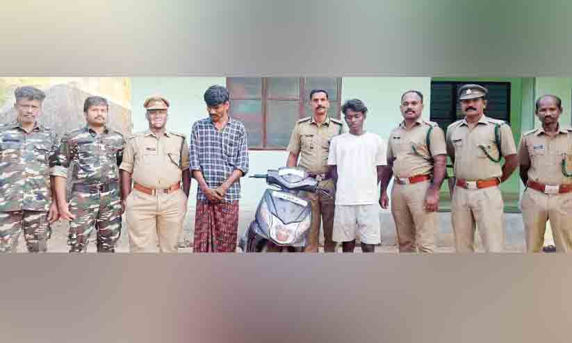 ഷോ​ള​യൂ​രി​ൽ ച​ന്ദ​ന​ക്ക​ട​ത്ത് പി​ടി​കൂ​ടി