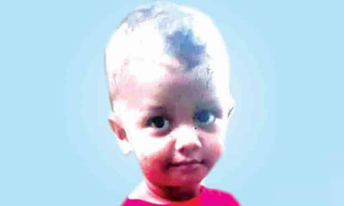 തെങ്ങ് തലയിൽ വീണ് രണ്ടു വയസ്സുകാരൻ മരിച്ചു