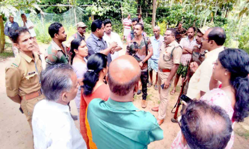 വടക്കനാടും അമ്പുകുത്തിയിലും കടുവ സാന്നിധ്യം; പശുക്കളെ ആക്രമിച്ചു
