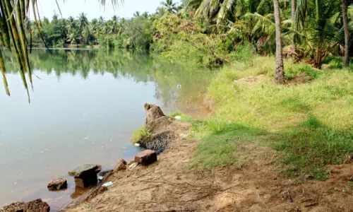 കരയിടിച്ചിൽ രൂക്ഷം; കണിച്ചിറ ഗ്രാമം ഭീഷണിയിൽ