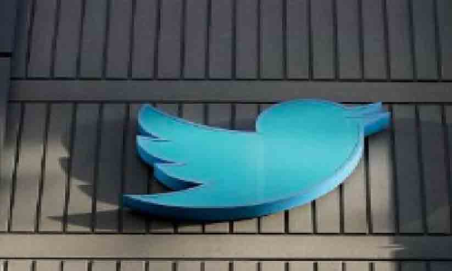 നയംമാറ്റം, വ്യാജന്മാർ നിറഞ്ഞുതുളുമ്പി ട്വിറ്റർ