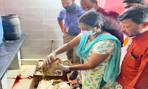 നടക്കാവിലെ ചിക്കൻസ്റ്റാളിൽ 80 കിലോ ചത്ത കോഴി: കട അടച്ചുപൂട്ടി