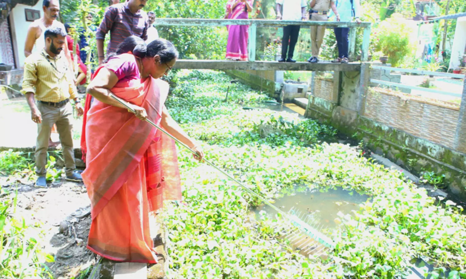 ജലാശയങ്ങളിലെ പോള ശല്യം പരിഹരിക്കാൻ കൈയിലൊതുങ്ങുന്ന ഉപകരണങ്ങൾ