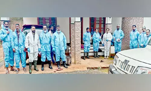 ആഫ്രിക്കൻ പന്നിപ്പനി; പന്നികളെ കൊന്നൊടുക്കി തുടങ്ങി