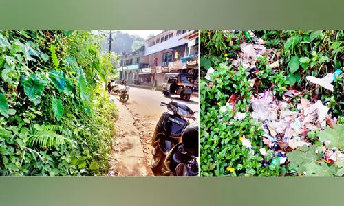 കാടിൽനിന്നും മാലിന്യത്തിൽനിന്നും മോചനമില്ലാതെ നടപ്പാത