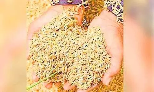 വീണ്ടും കാത്തിരിപ്പ്​; നെൽകർഷകർക്ക്​ ലഭിക്കാനുള്ളത്​ 6.78 കോടി