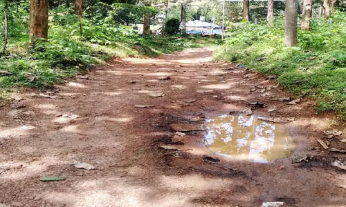 വികസനമെത്താതെ വനപാത