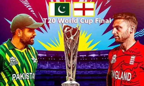 Twenty 20 World Cup final