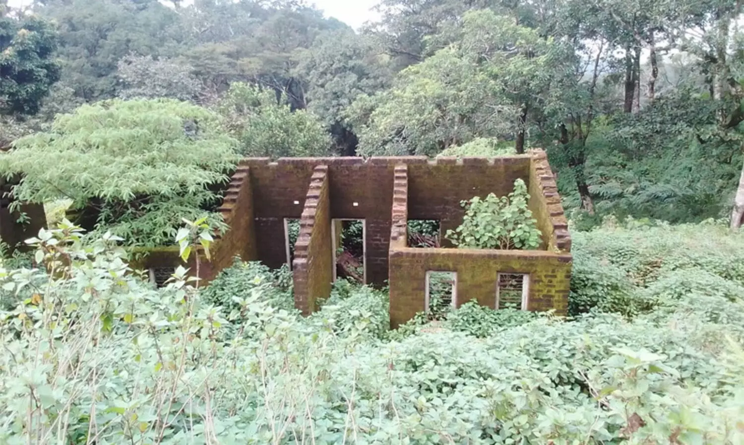 ആദിവാസി ഭൂമി വ്യാജരേഖയുണ്ടാക്കി കൈയേറുന്നതിനെതിരെ അട്ടപ്പാടി മാർച്ച് 15ന്