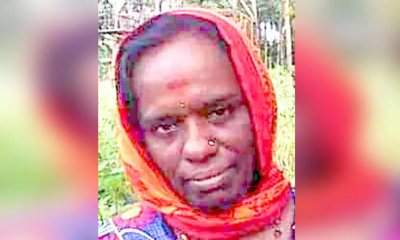 കാണാതായ വീട്ടമ്മക്കായി പൊലീസ് അന്വേഷണം തമിഴ്നാട്ടിലേക്ക് കാണാതായ വീട്ടമ്മക്കായി പൊലീസ് അന്വേഷണം തമിഴ്നാട്ടിലേക്ക്