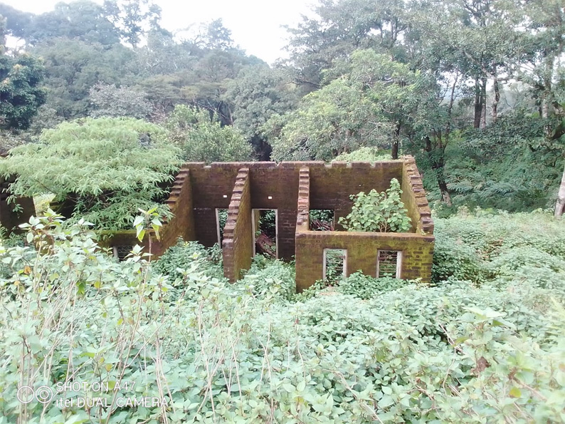 ആദിവാസി ഭൂമി വ്യാജരേഖയുണ്ടാക്കി കൈയേറുന്നതിനെതിരെ അട്ടപ്പാടി മാർച്ച് 15ന് ആദിവാസി ഭൂമി വ്യാജരേഖയുണ്ടാക്കി കൈയേറുന്നതിനെതിരെ അട്ടപ്പാടി മാർച്ച് 15ന്