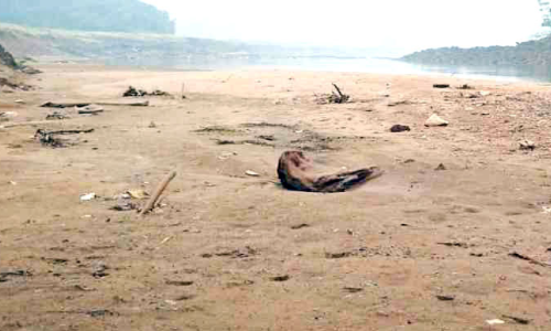 പഴശ്ശിയിൽ അടിഞ്ഞുകൂടിയത് കോടികളുടെ മണൽ