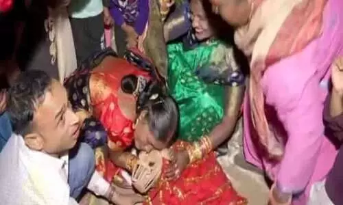 വളർത്തുനായകൾക്ക് മംഗല്യം; ചടങ്ങിനെത്തിയത് നൂറോളം പേർ