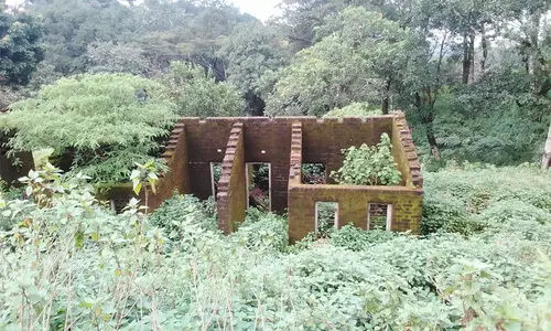 ആദിവാസി ഭൂമി വ്യാജരേഖയുണ്ടാക്കി കൈയേറുന്നതിനെതിരെ അട്ടപ്പാടി മാർച്ച് 15ന്