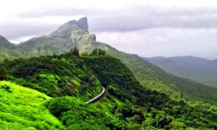 satellite survey data