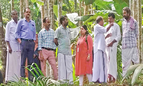 ഊർക്കടവിൽ ഷട്ടറിടുമ്പോൾ കൃഷി വെള്ളത്തിൽ മുങ്ങുന്നു; പരിഹാരനടപടിക്ക് നിർദേശം