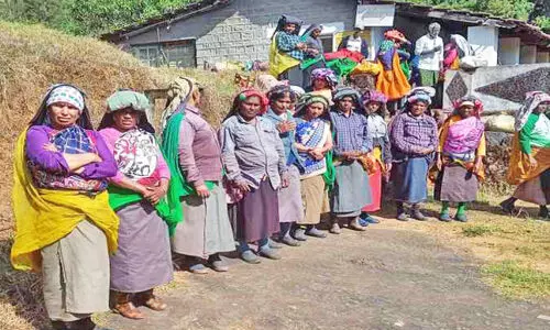 വേതനമില്ല; തോട്ടം തൊഴിലാളികളുടെ സമരം തുടരുന്നു