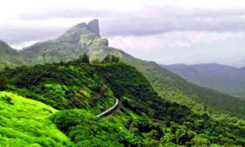 satellite survey data