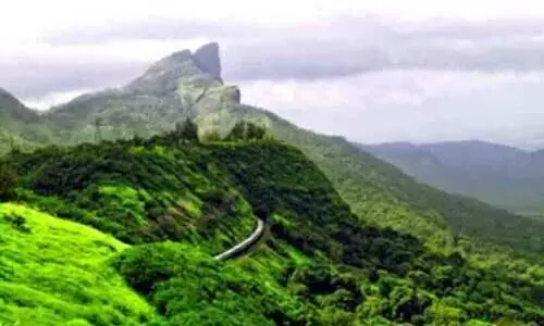 satellite survey data