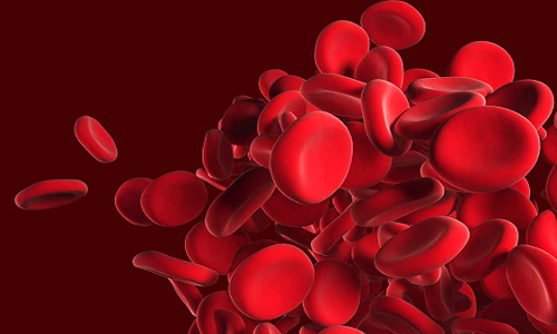 Rare blood group was found in Kuwait