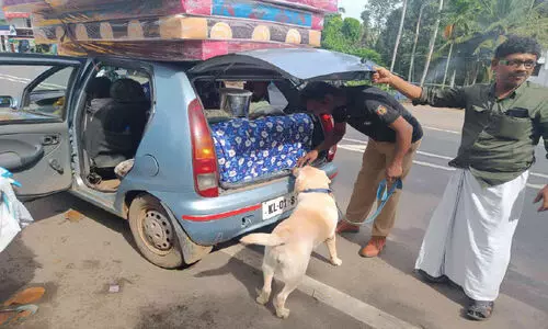 വാഹന പരിശോധനക്ക് ഡോഗ് സ്‌ക്വാഡും