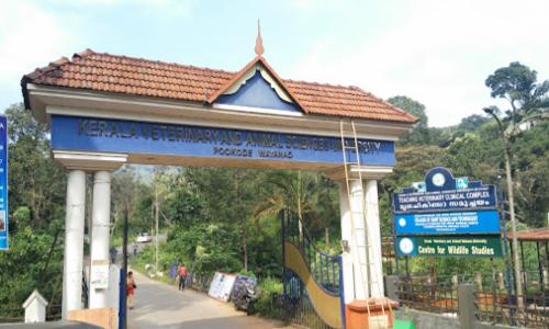 വെറ്ററിനറി വി.സിക്കെതിരെയും ഗവർണർ നടപടിക്ക്; കാരണം കാണിക്കൽ നോട്ടീസ് നൽകും