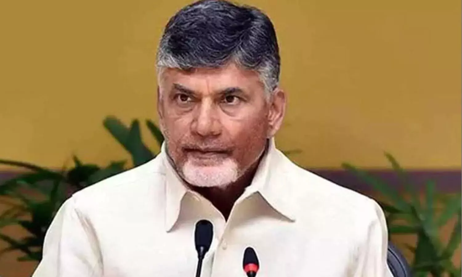 Chandrababu Naidu