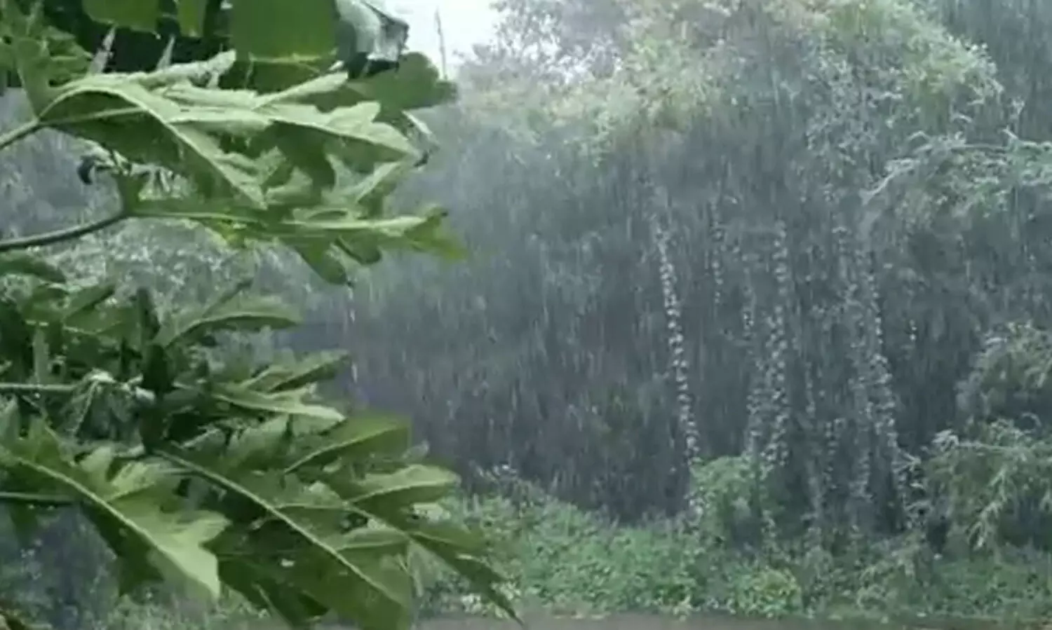 തുലാമഴയിൽ 20 ശതമാനം കുറവ്; കഴിഞ്ഞ വർഷം ലഭിച്ചതിന്‍റെ പകുതി