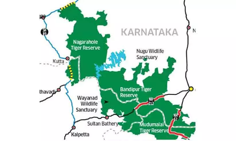 tiger sanctuary tiger sanctuary