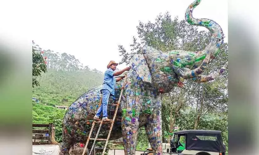 വലിച്ചെറിഞ്ഞ മാലിന്യങ്ങളിൽ തലയുയർത്തി  കാട്ടുകൊമ്പനും പോത്തും