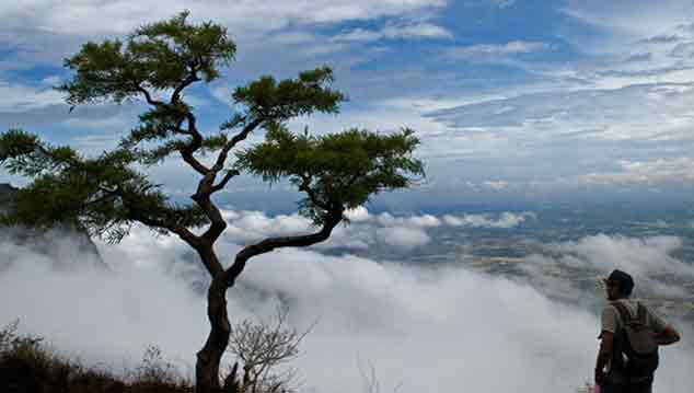 നെല്ലിയാമ്പതിയിൽ അടിസ്ഥാന സൗകര്യങ്ങൾ കുറവ്; വലഞ്ഞ് സന്ദർശകർ നെല്ലിയാമ്പതിയിൽ അടിസ്ഥാന സൗകര്യങ്ങൾ കുറവ്; വലഞ്ഞ് സന്ദർശകർ