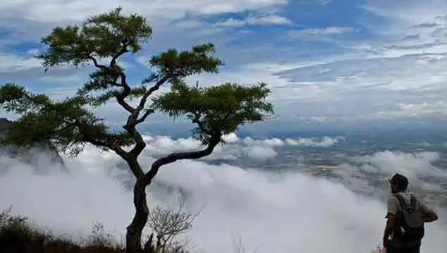 നെല്ലിയാമ്പതിയിൽ അടിസ്ഥാന സൗകര്യങ്ങൾ കുറവ്; വലഞ്ഞ് സന്ദർശകർ