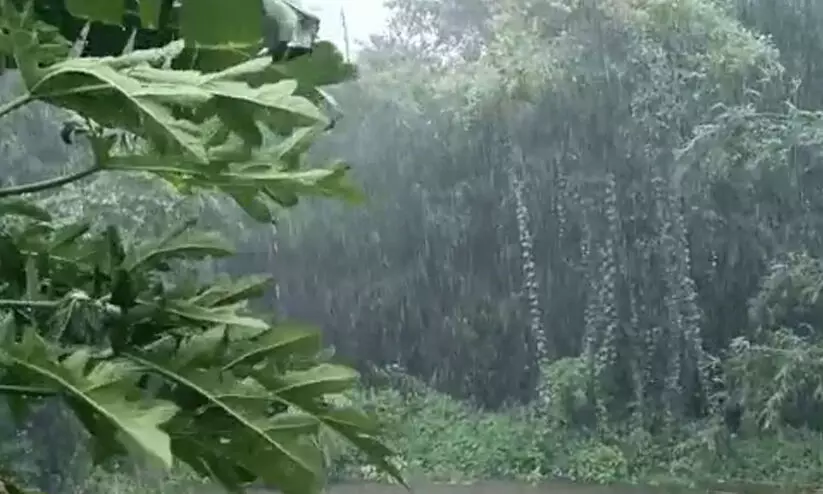 തുലാമഴയിൽ 20 ശതമാനം കുറവ്; കഴിഞ്ഞ വർഷം ലഭിച്ചതിന്‍റെ പകുതി