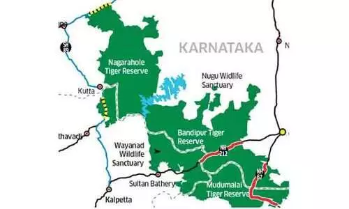 tiger sanctuary