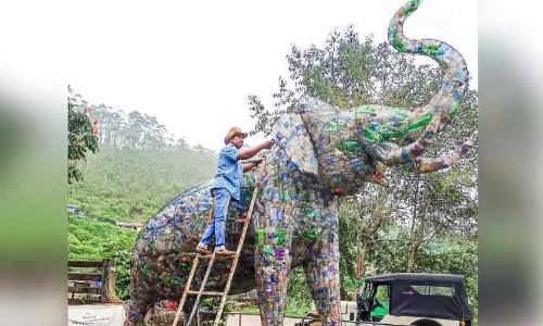 വലിച്ചെറിഞ്ഞ മാലിന്യങ്ങളിൽ തലയുയർത്തി  കാട്ടുകൊമ്പനും പോത്തും