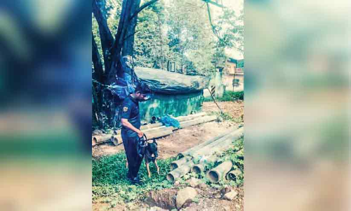 10,000 രൂപ കവർന്ന് ഓടിയ കള്ളന് നഷ്ടമായത് ബൈക്കും ഏഴ് മൊബൈലും