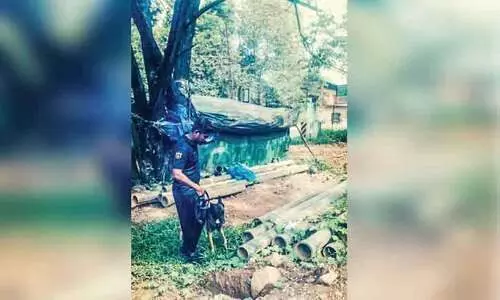 10,000 രൂപ കവർന്ന് ഓടിയ കള്ളന് നഷ്ടമായത് ബൈക്കും ഏഴ് മൊബൈലും