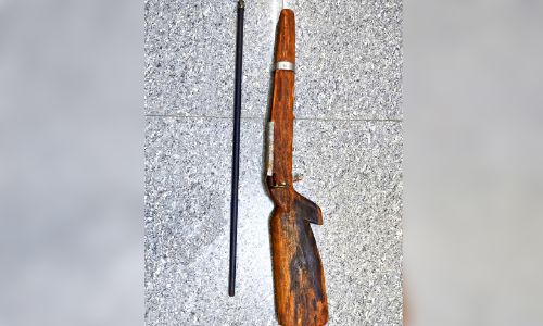 വിറകുപുരയിൽ ഒളിപ്പിച്ച് നാടൻതോക്ക്