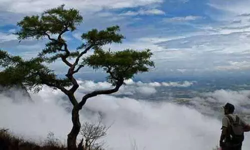 നെല്ലിയാമ്പതിയിൽ അടിസ്ഥാന സൗകര്യങ്ങൾ കുറവ്; വലഞ്ഞ് സന്ദർശകർ