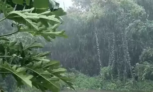 തുലാമഴയിൽ 20 ശതമാനം കുറവ്; കഴിഞ്ഞ വർഷം ലഭിച്ചതിന്‍റെ പകുതി