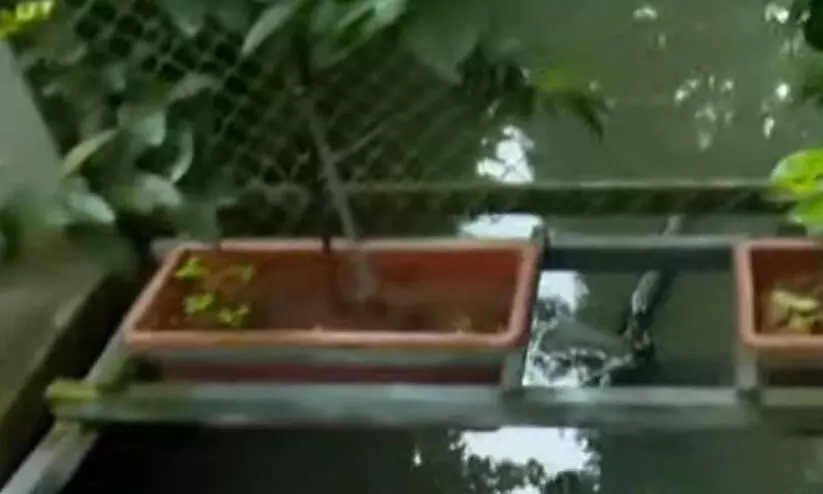 കൊച്ചിയിൽ മൂടാതെയിട്ട കാനയിൽ വീണ് മൂന്ന് വയസുകാരന് പരിക്ക്; രക്ഷകയായി അമ്മ കൊച്ചിയിൽ മൂടാതെയിട്ട കാനയിൽ വീണ് മൂന്ന് വയസുകാരന് പരിക്ക്; രക്ഷകയായി അമ്മ