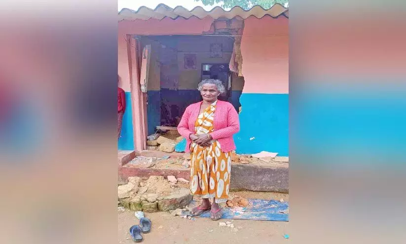 കാട്ടാന വീട് പൊളിച്ച് നാശനഷ്ടം വരുത്തി കാട്ടാന വീട് പൊളിച്ച് നാശനഷ്ടം വരുത്തി