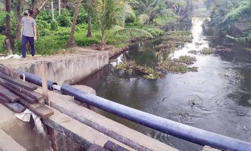 ബണ്ടുകൾ കെട്ടിയില്ല; ഉപ്പുവെള്ളം കയറി കൃഷിയും കുടിവെള്ളവും നശിക്കുന്നു