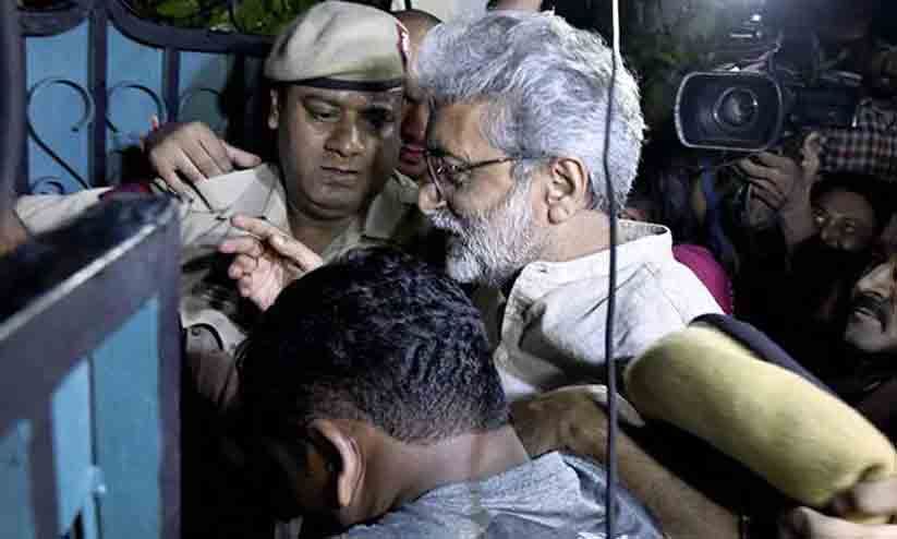 gautam navlakha gautam navlakha