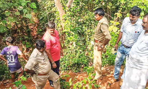Forest department to catch the aggressive fox